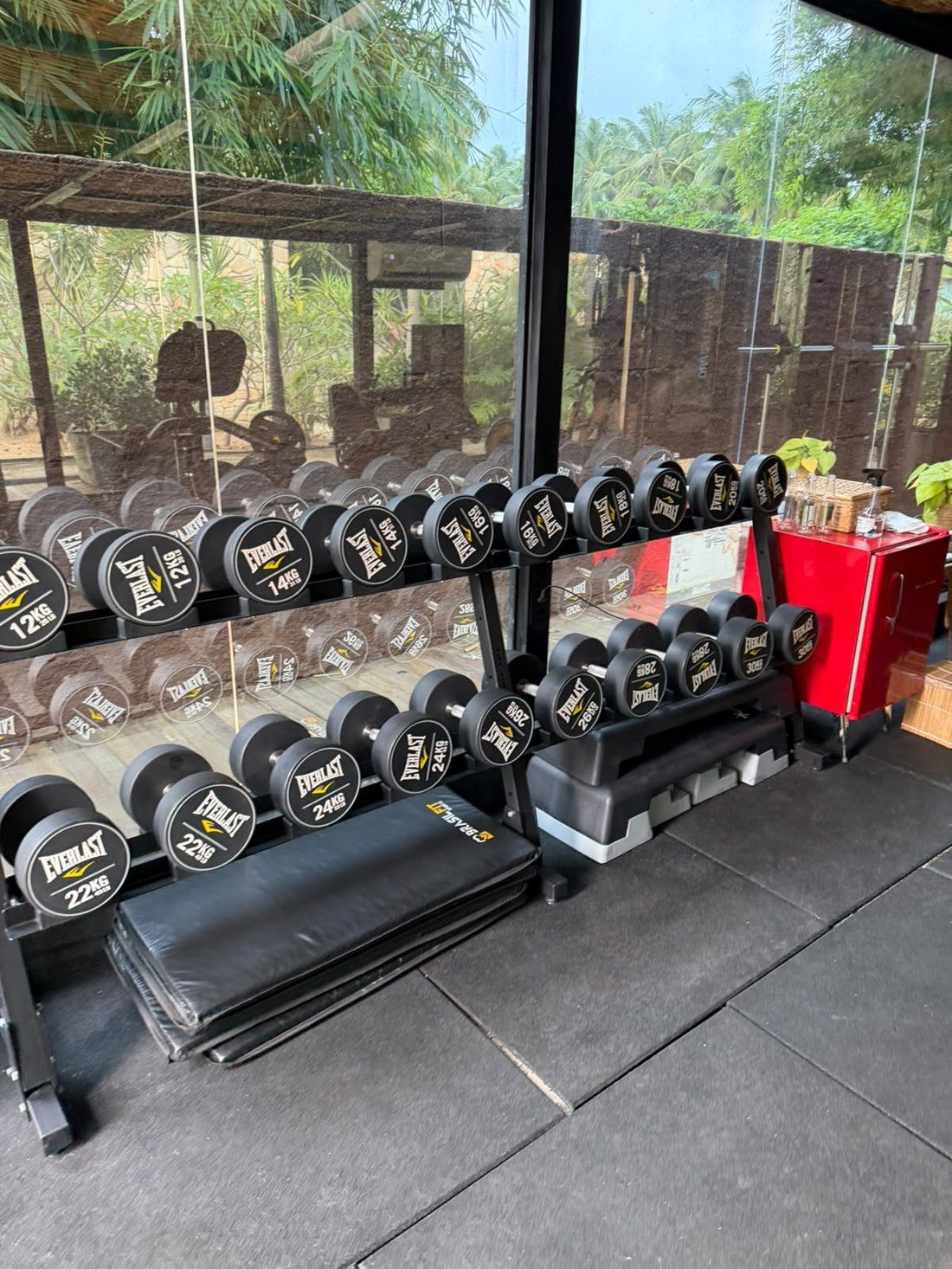 Rack de halteres Everlast novos de 8 a 24 kg na academia do Pedras do Patacho, com paredes de vidro para o jardim